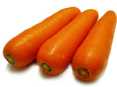 Zanahorias conservadas frescas