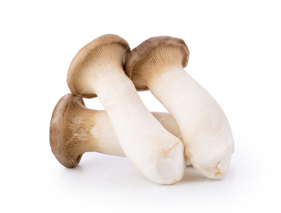 champiñones