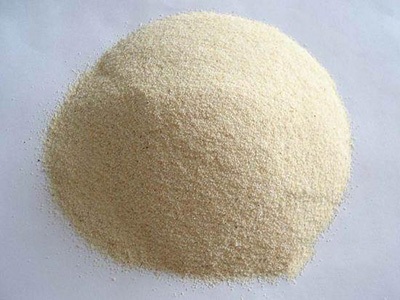 Garlic powder