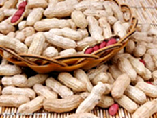 Peanuts